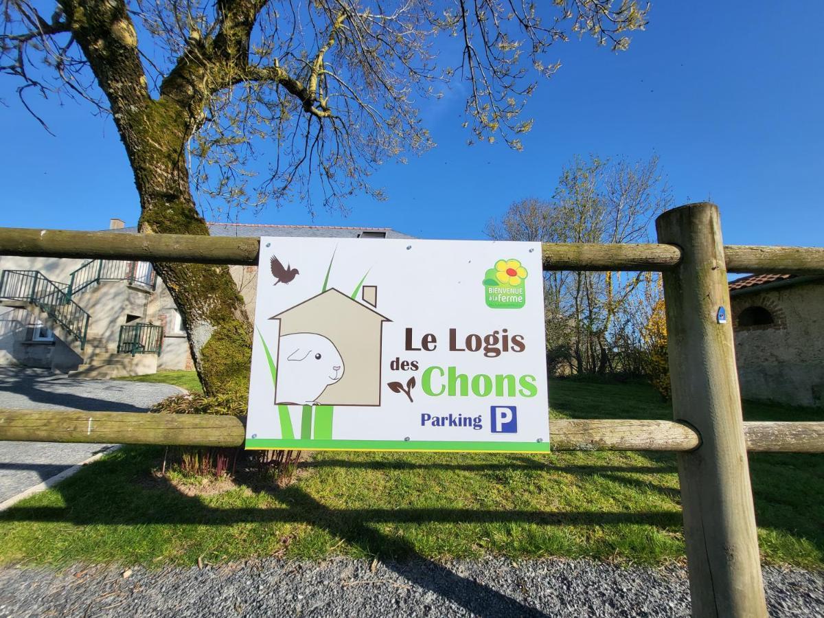 Le Logis Des Chons A La Campagne A Saint Hilaire Du Bois - Lys Haut Layon Le Plessis  Экстерьер фото